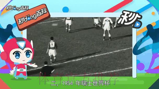 世界杯即时战况：比分动态全程追踪