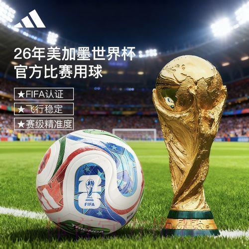 2026世界杯官方购球应用程序下载教程